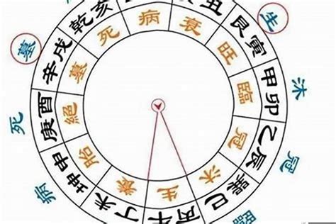 八字日干|八字日干十二运表